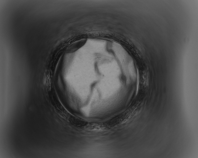 X0000095671493200801291126