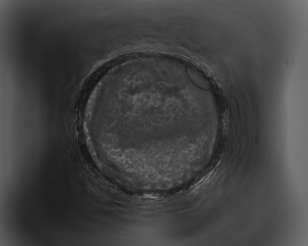 X0000095671494200801291126