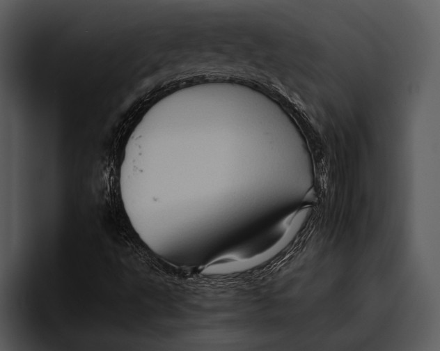 X0000095671495200801291126