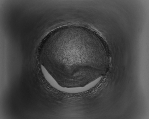 X0000095671496200801291126