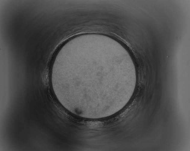 X0000095671498200801291126