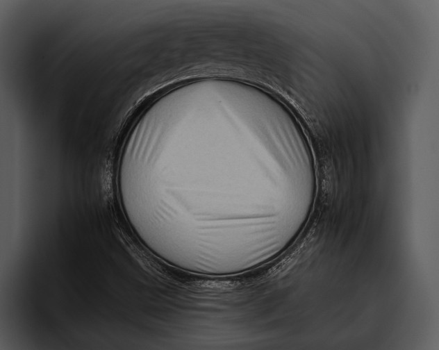 X0000095671499200801291126