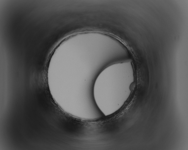 X0000095671502200801291126