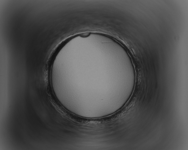 X0000095671503200801291126