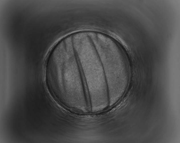 X0000095671504200801291126