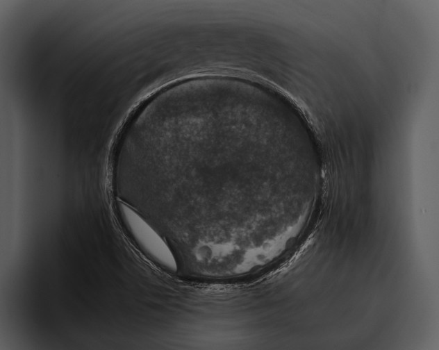 X0000095671506200801291126