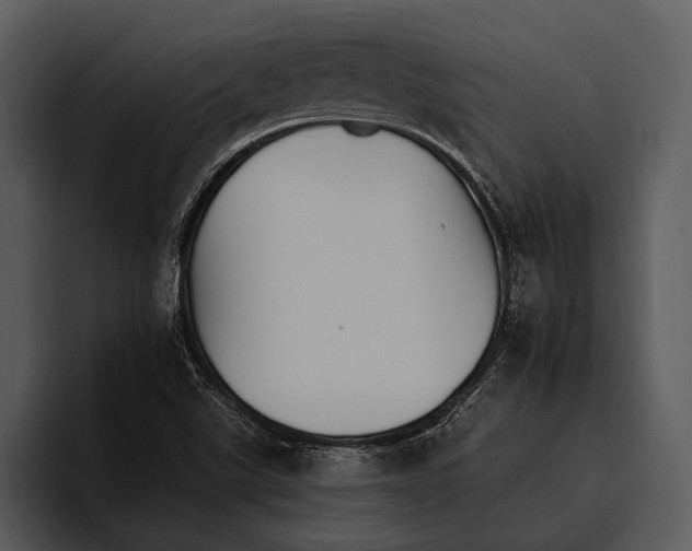 X0000095671507200801291126