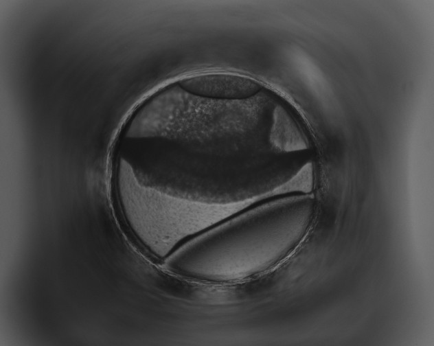 X0000095671508200801291126