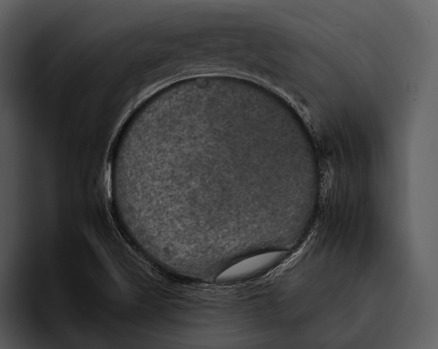 X0000095671509200801291126