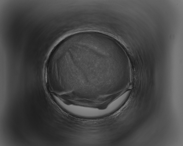 X0000095671510200801291126