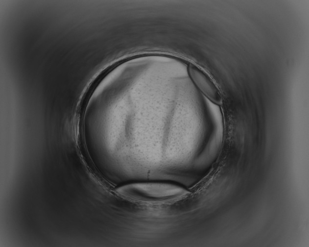 X0000095671511200801291126