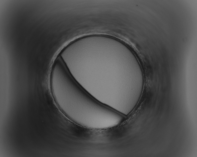 X0000095671512200801291126