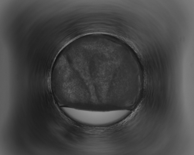 X0000095671513200801291126