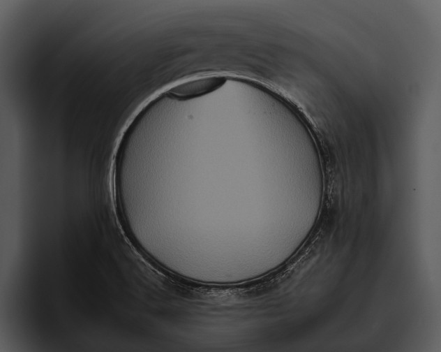 X0000095671516200801291126