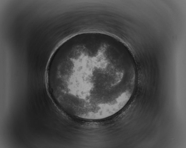 X0000095671517200801291126