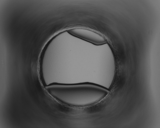 X0000095671518200801291126