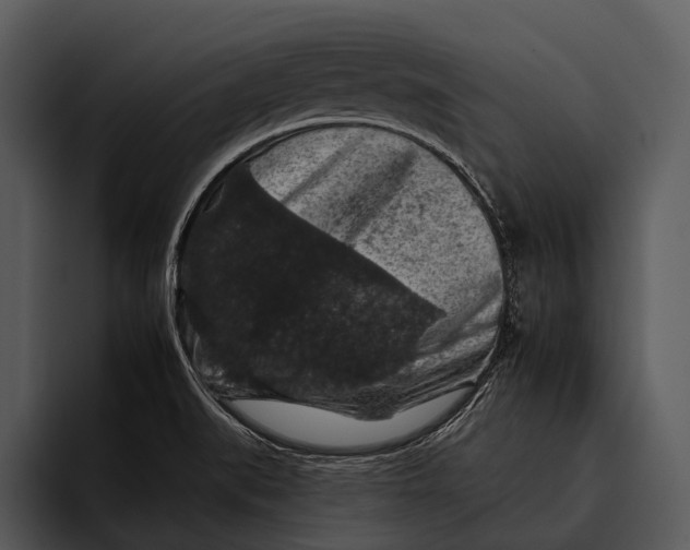 X0000095671519200801291126