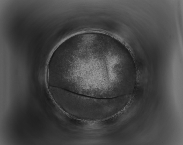 X0000095671520200801291126