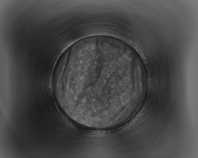 X0000095671521200801291126