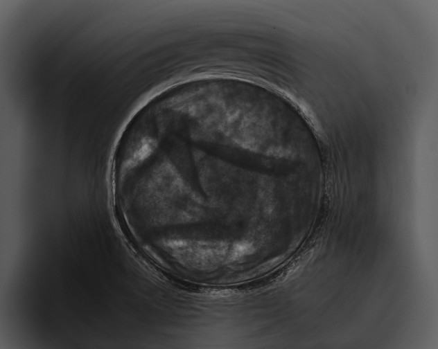 X0000095671522200801291126