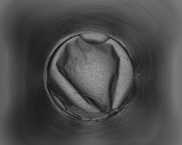 X0000095671523200801291126