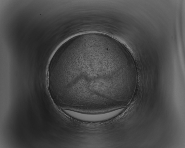 X0000095671524200801291126