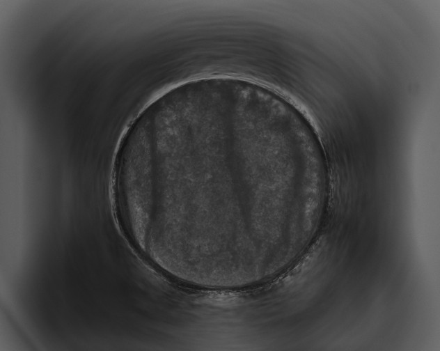 X0000095671525200801291126