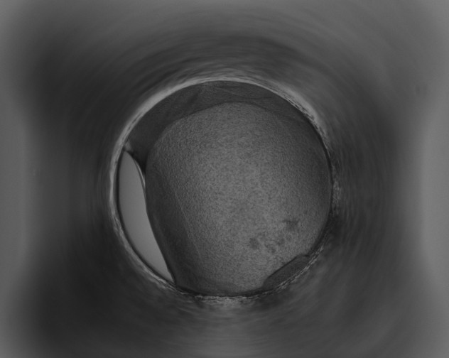 X0000095671528200801291127