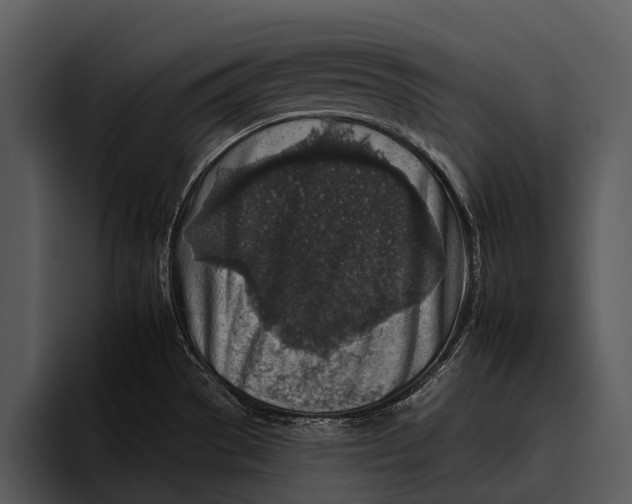 X0000095671529200801291127