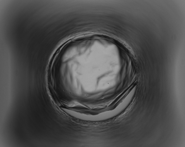 X0000095671530200801291127