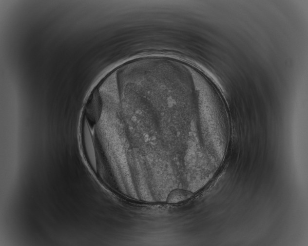 X0000095671533200801291127