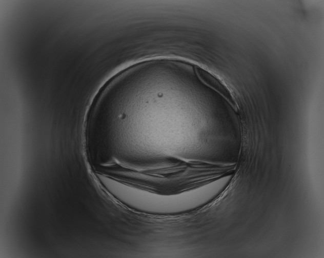 X0000095671534200801291127