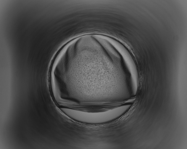 X0000095671535200801291127