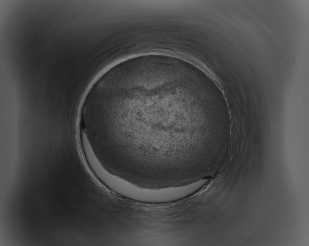 X0000095671536200801291127