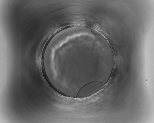 X0000095670002200802051240