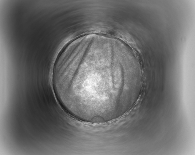 X0000095670003200802051240