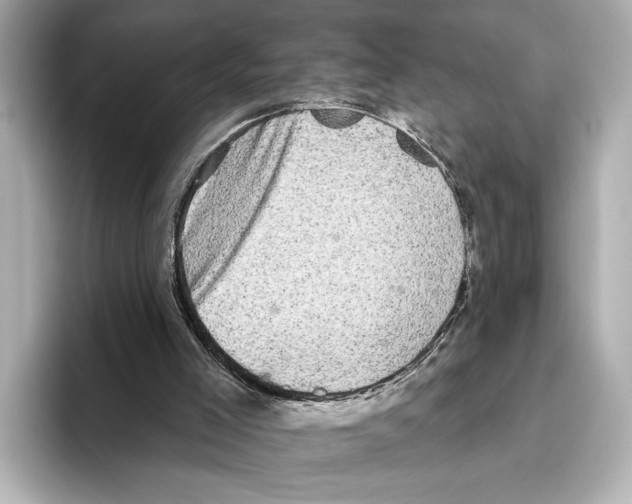 X0000095670005200802051240