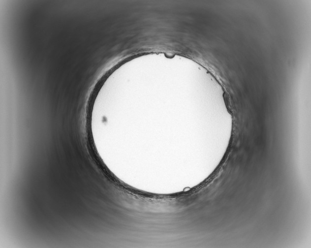 X0000095670008200802051240