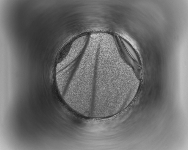X0000095670009200802051240