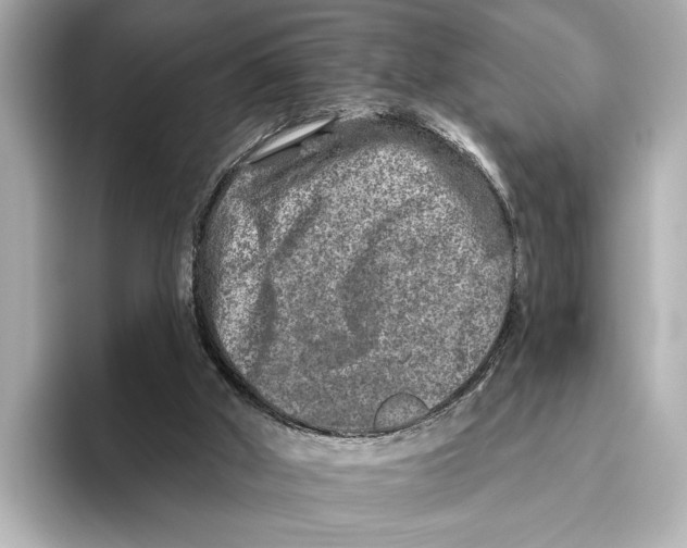 X0000095670010200802051240