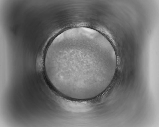 X0000095670012200802051240
