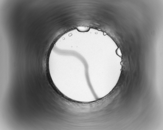 X0000095670015200802051240