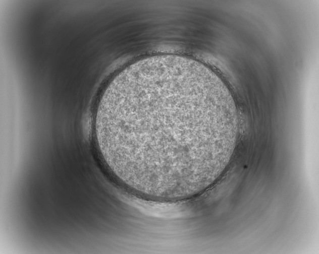 X0000095670016200802051240