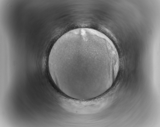 X0000095670018200802051240