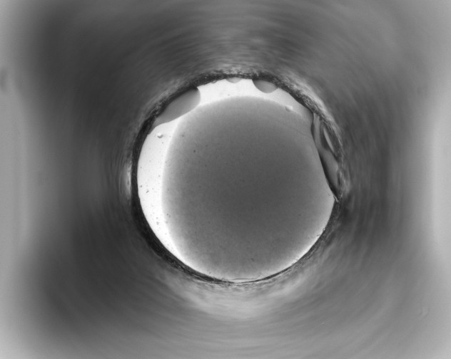 X0000095670019200802051240