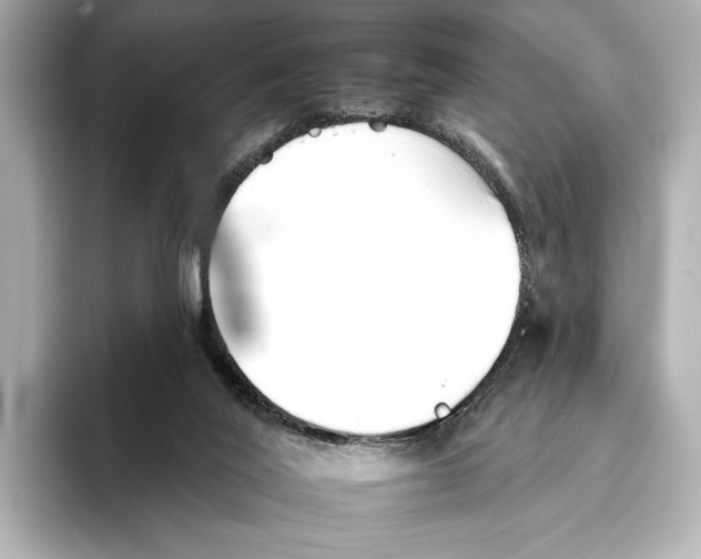 X0000095670020200802051240