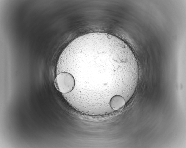X0000095670022200802051240