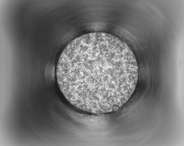 X0000095670024200802051240