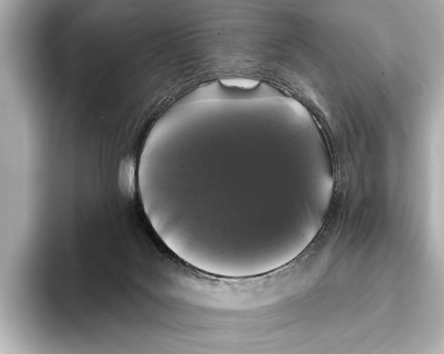 X0000095670027200802051240
