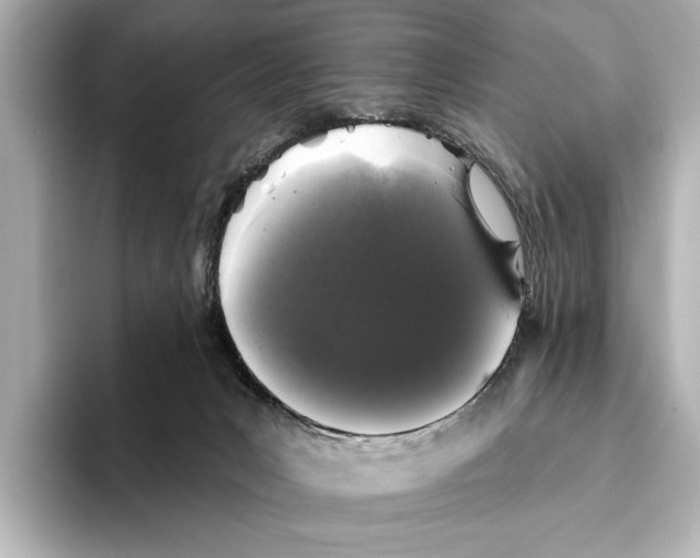 X0000095670031200802051240